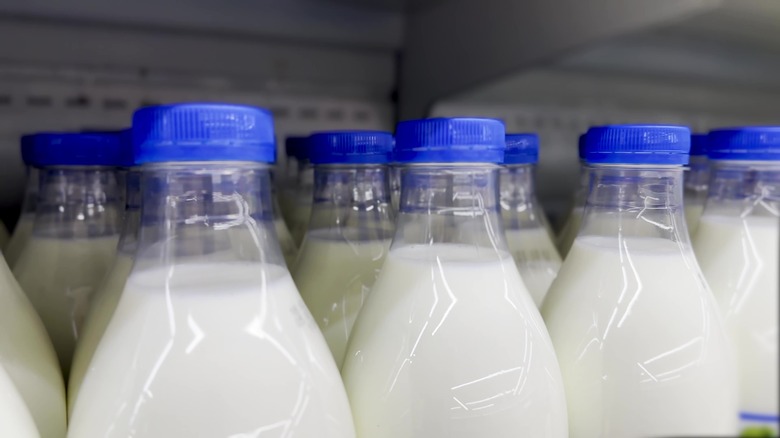 Bottles of milk on shelf