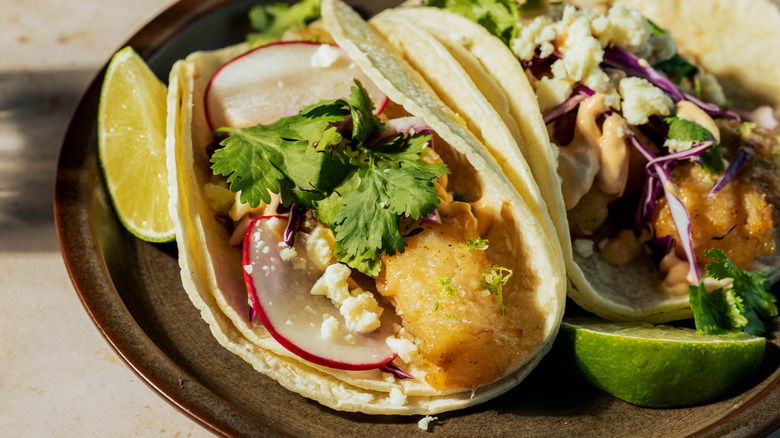 Fried fish tacos with cilantro