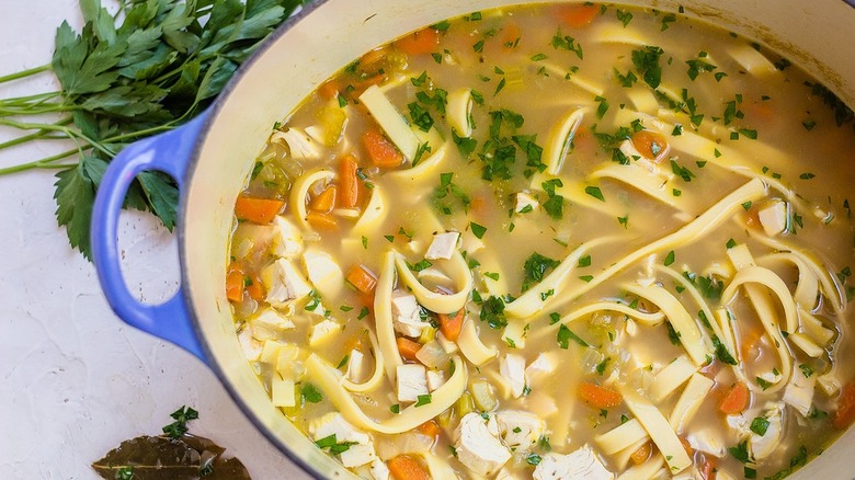 chicken noodle soup in pot