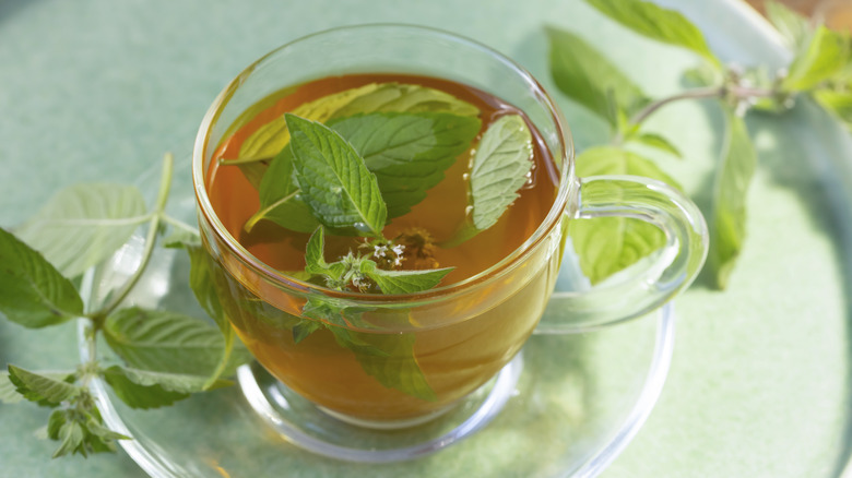 Mint tea in glass cup