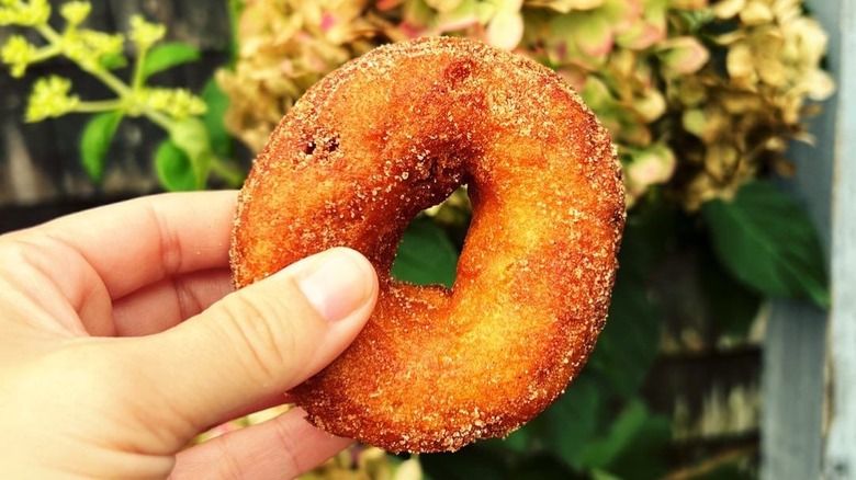 Cider donut in hand