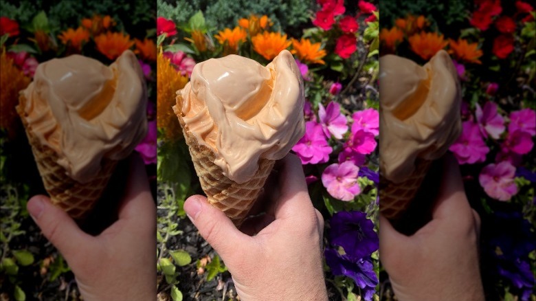 Abbott's Frozen Custard cone