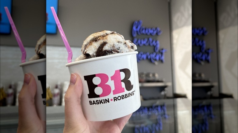 Baskin Robbins Non-Dairy ice cream cup