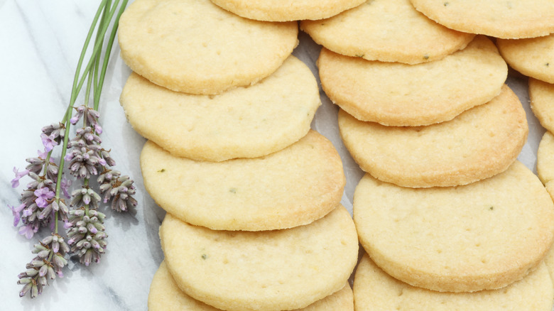 Lavender biscuits on white background