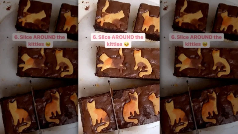 Cat shortbread brownies on TikTok