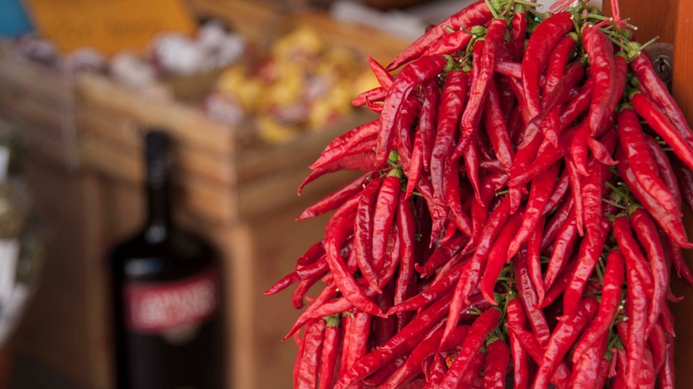 Calabrian chili peppers from vendor