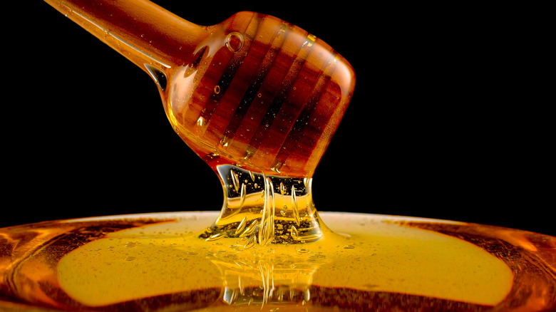 Dipper covered in honey
