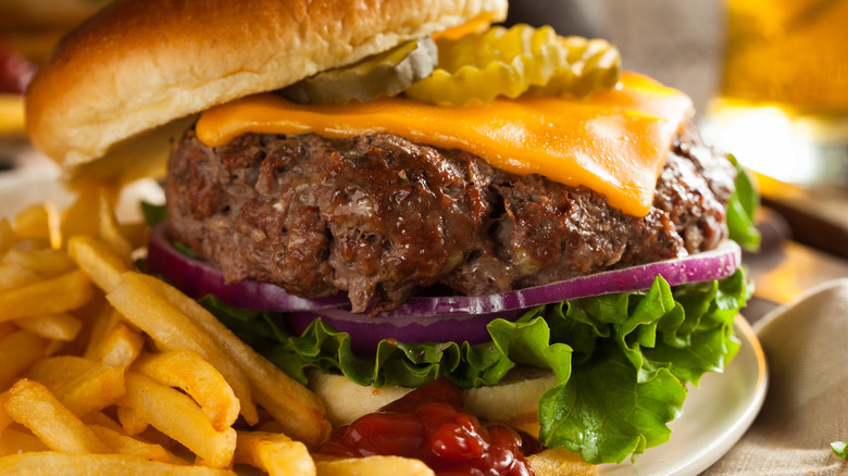 Bison hamburger with fries