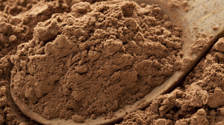 Cocoa powder in spoon