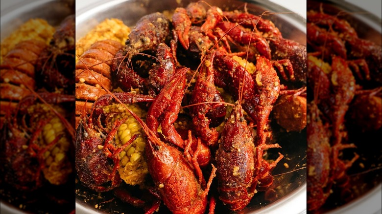 Seasoned crawfish boil with corn