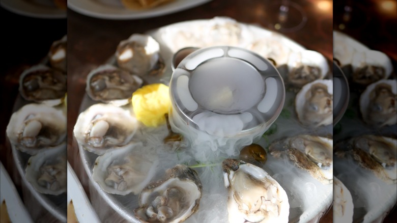 Fresh oysters on dry ice