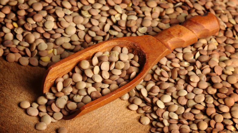 Dried lentils with scoop