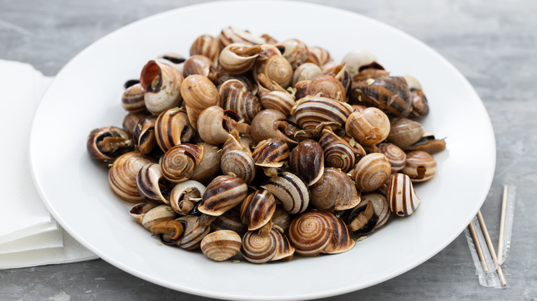 plate of boiled snails