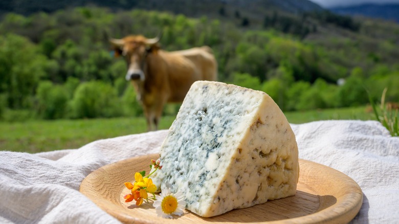 Queso de cabrales asturias