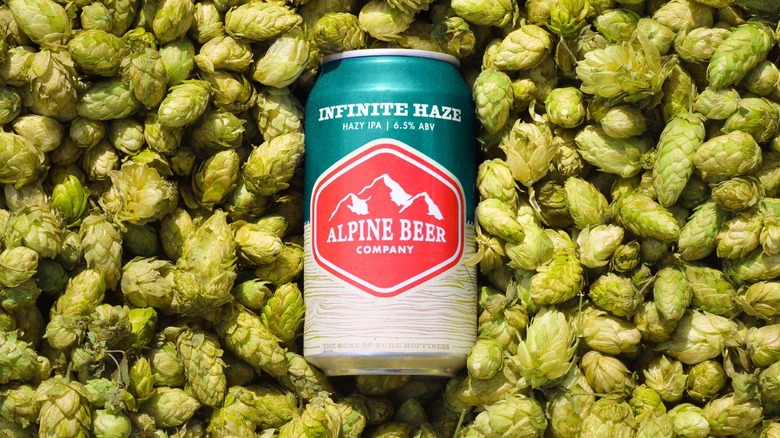 Infinite Haze beer on hops