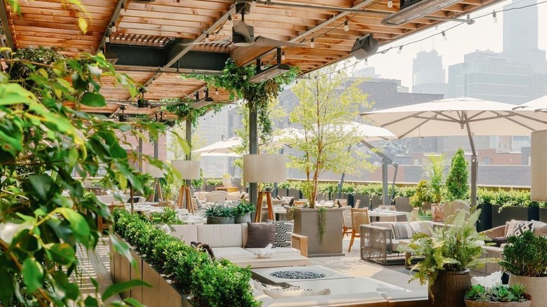 Patio with plants and couches