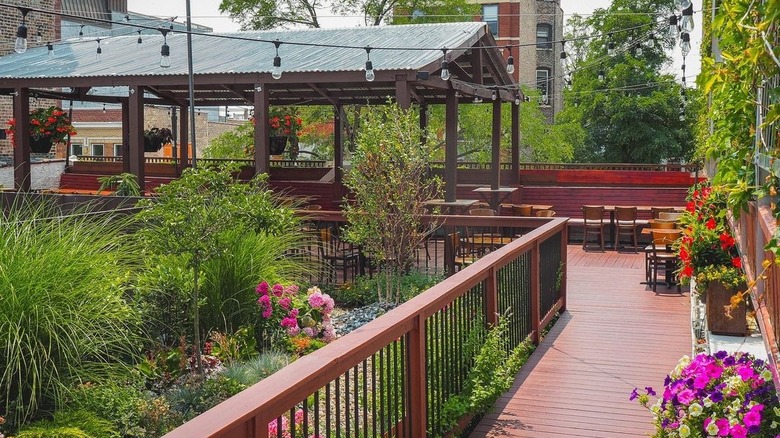 Rooftop patio and garden