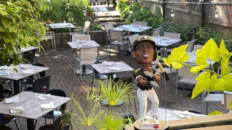 bobblehead in a patio garden