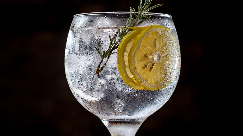 Gin and tonic isolated