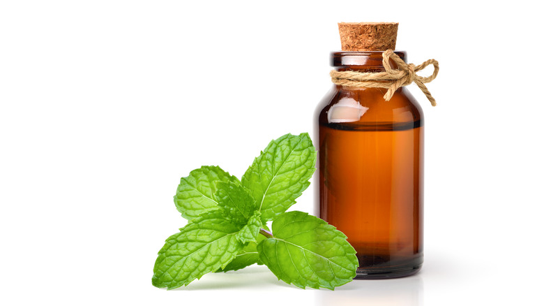 Peppermint extract in container