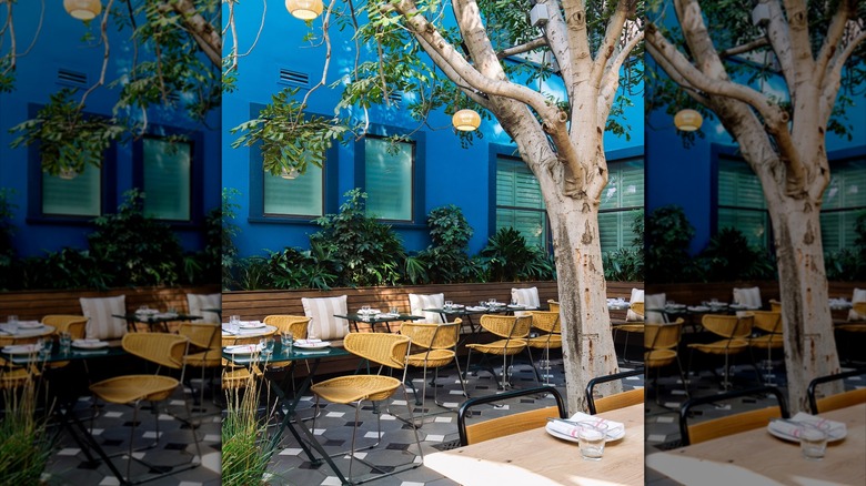 Simonette Restaurant patio with tree