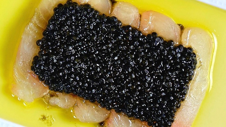 crudo caviar on plate