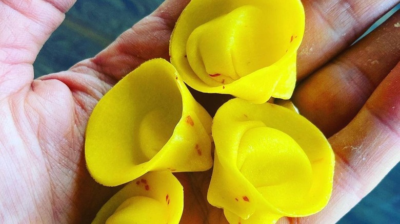 Cappelletti pasta in hand