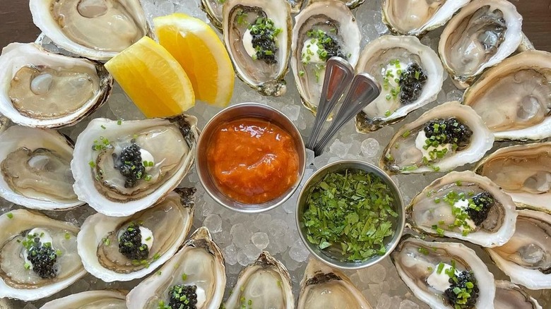 Platter of raw oysters