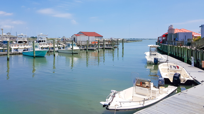 Cape May marina