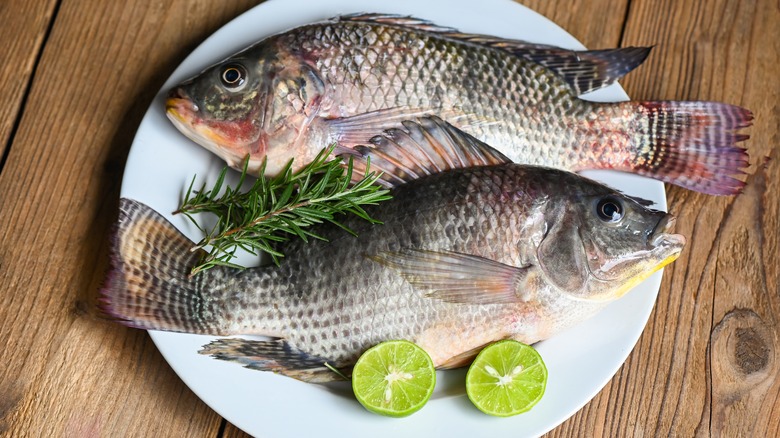 Raw tilapia on a plate