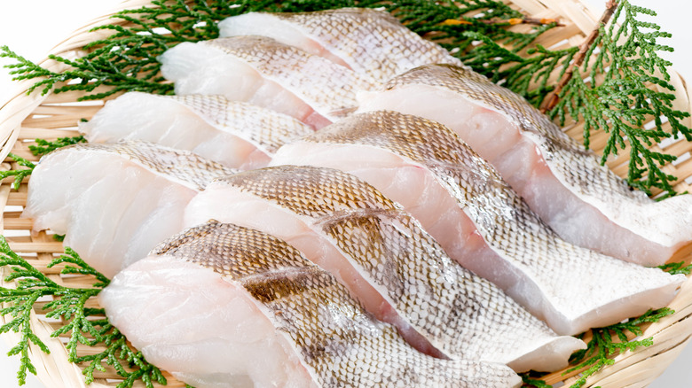 Pacific cod filets on plate