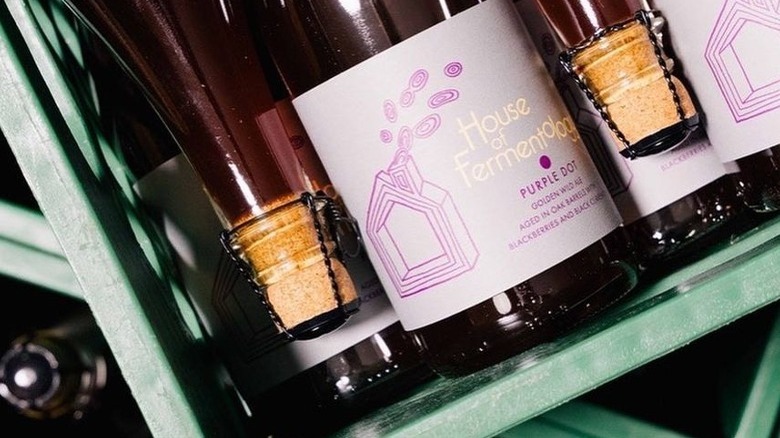 Bottles of Purple Dot beer