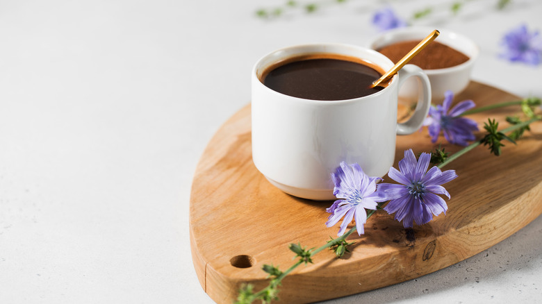 Chicory coffee and flowers