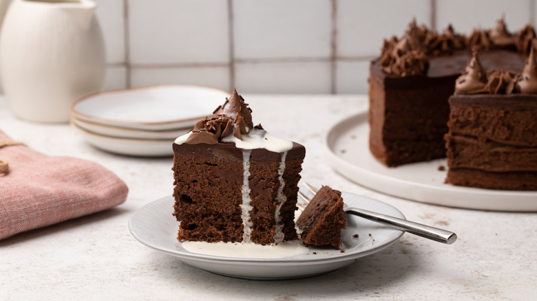 Chocolate cake slice on plate 