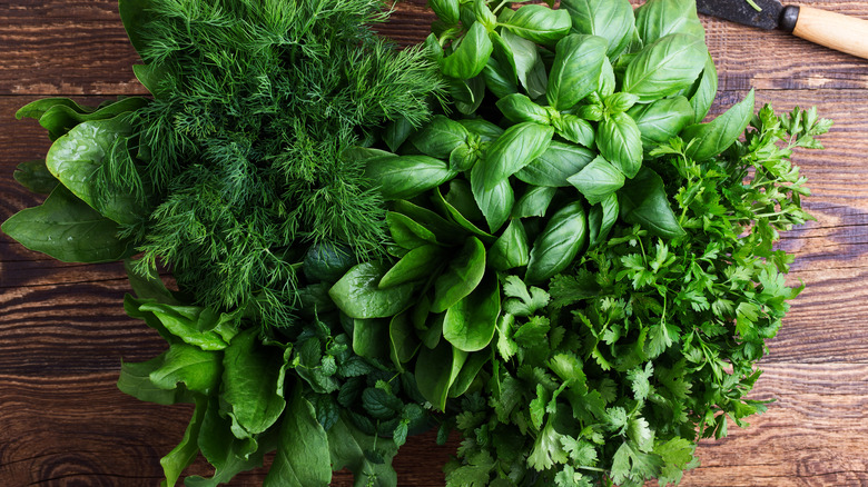 Fresh green herbs laid out on a cutting board