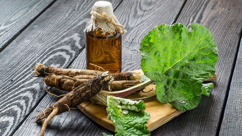 Burdock roots, leaves, and oil