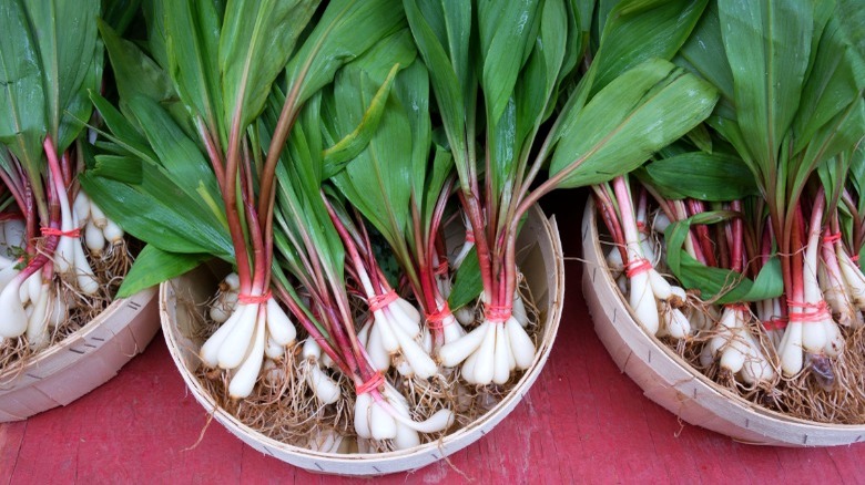 Whole ramps at market display