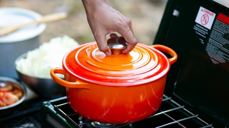 Person holding a pot lid