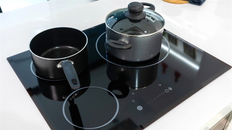 pots on induction stove