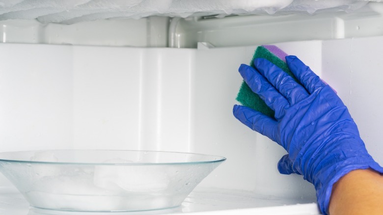 Person cleaning freezer with sponge