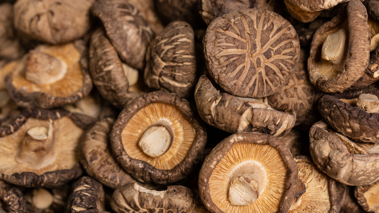 dried whole shiitake mushrooms