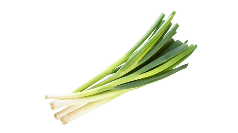 bunch of green scallions white background