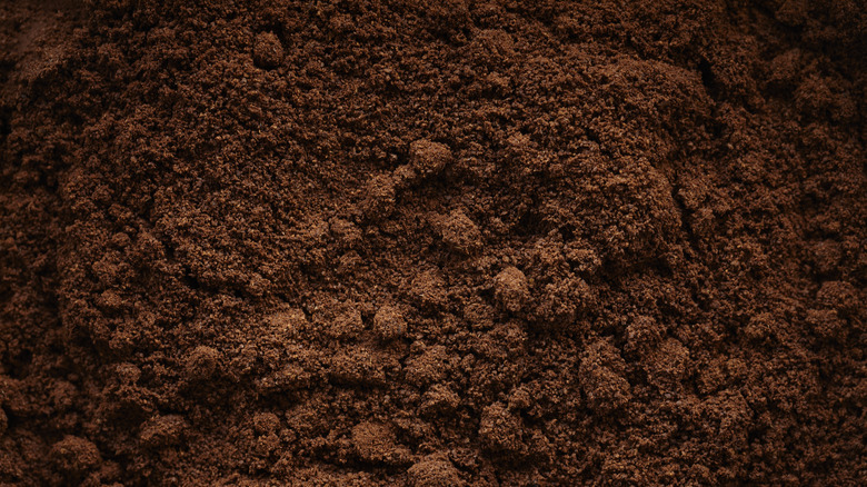 Coffee grounds