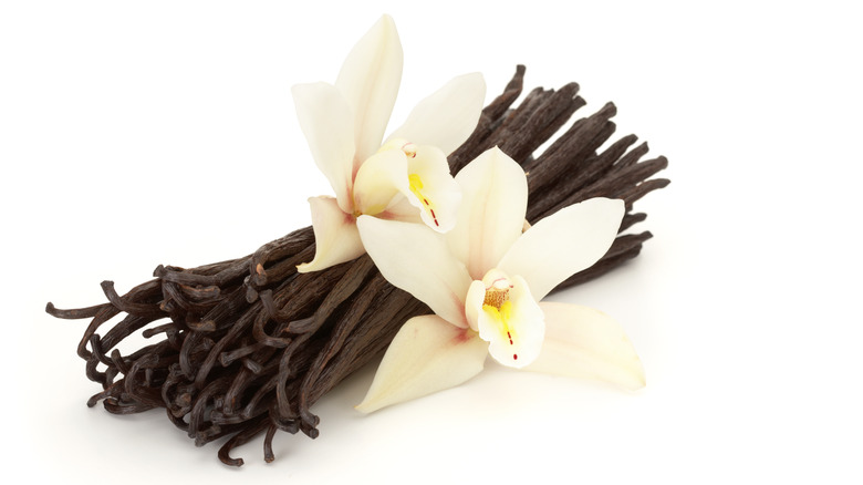 Vanilla flowers and beans