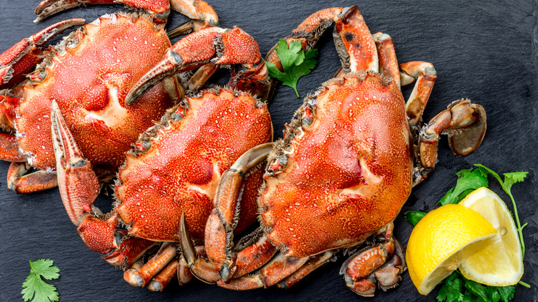 three cooked Dungeness crabs