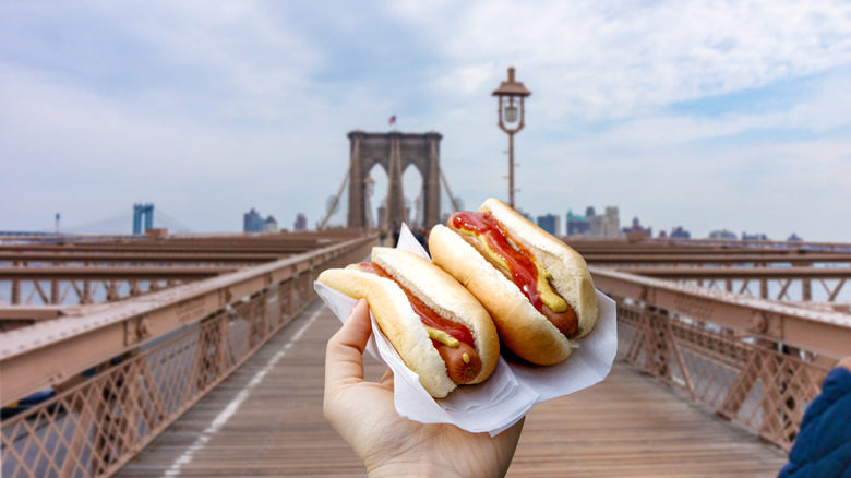 hand holding hot dogs