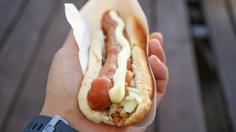 hand holding hot dog