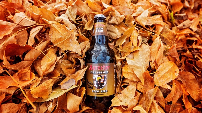 Sprecher Root Beer in leaves