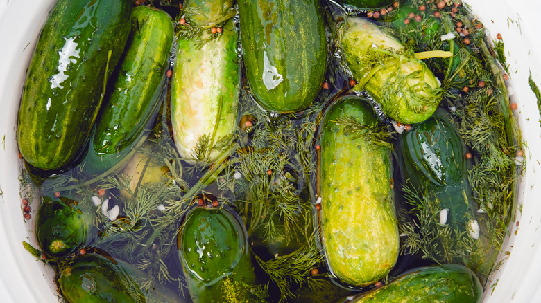 vat of pickles green dill