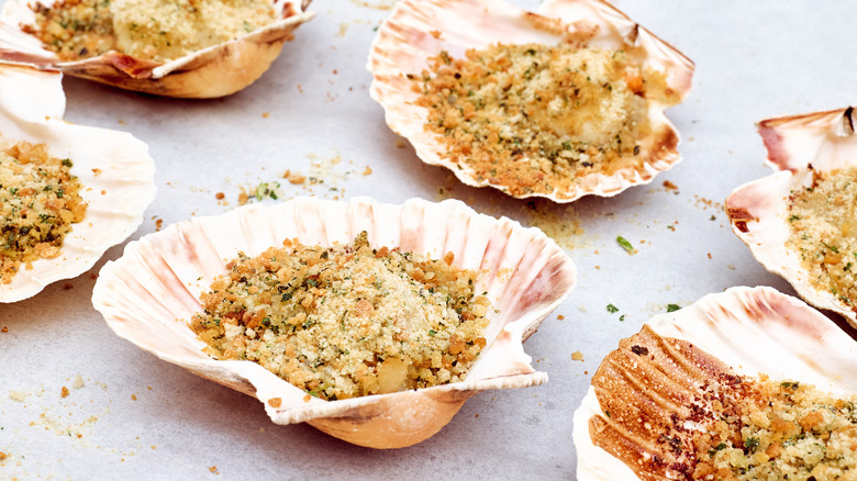 scallops in shells with breadcrumbs